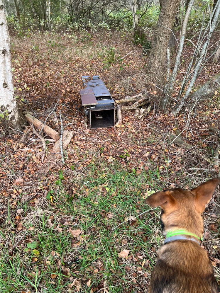 Giftköder-große Fuchsfalle-Profilbild