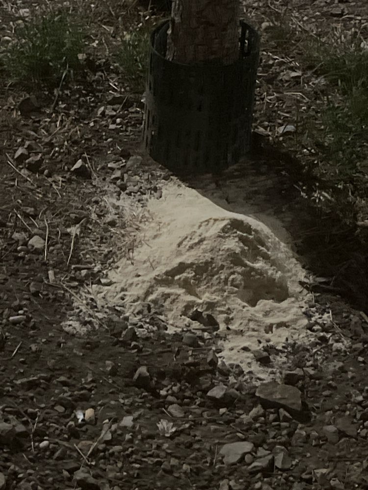 Giftköder-Giftködervermutung/ Futterstelle-Profilbild