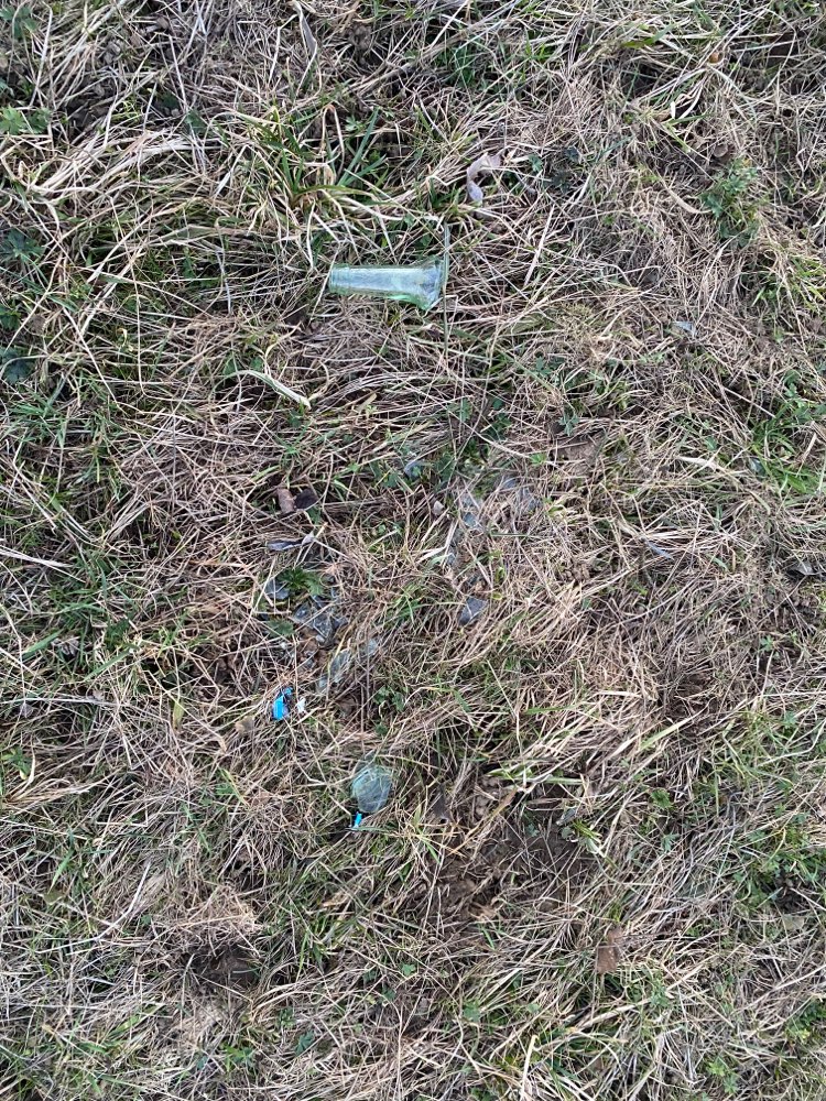 Giftköder-Glasscherben auf der Wiese-Profilbild