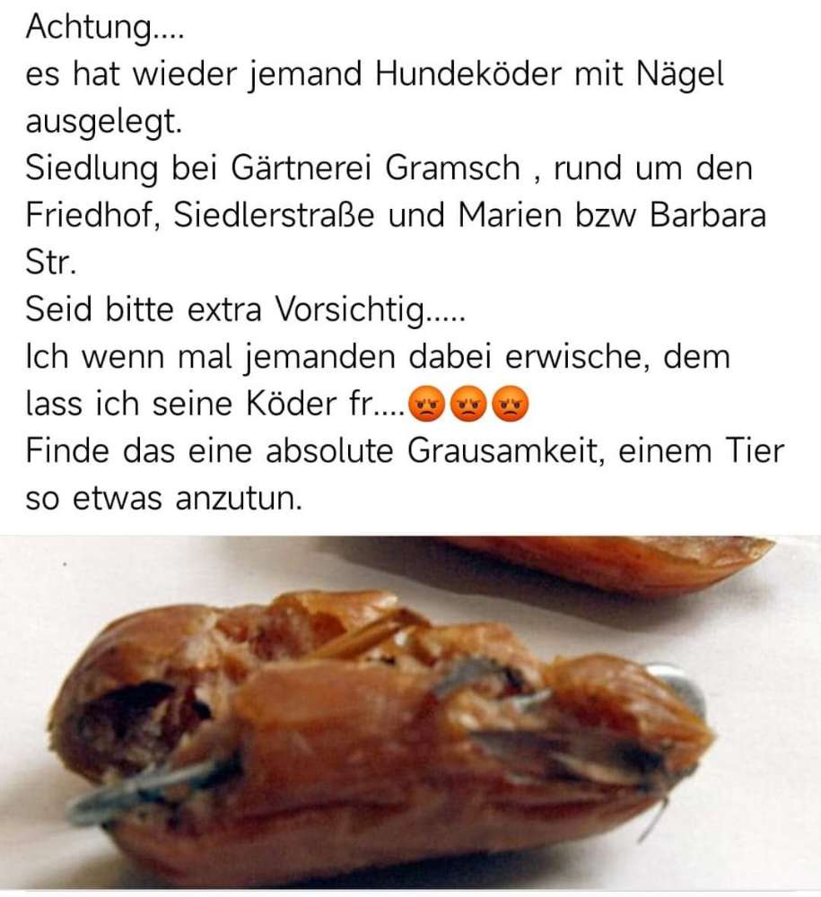 Giftköder-Köder mit Nägeln-Profilbild