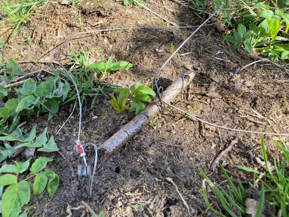 Giftköder-Drahtschlinge-Profilbild