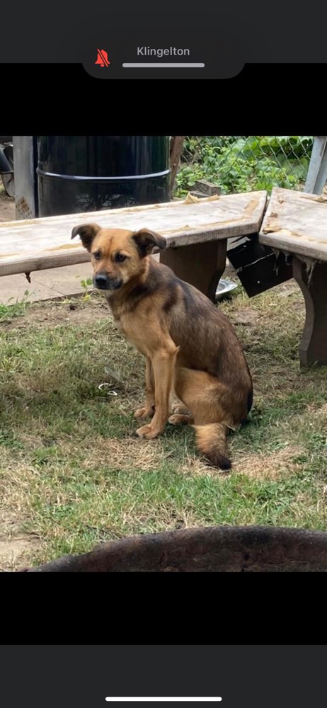 Suchmeldung-Felina-Profilbild