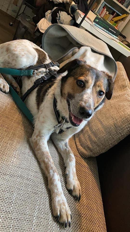 Suchmeldung-Jill-Profilbild