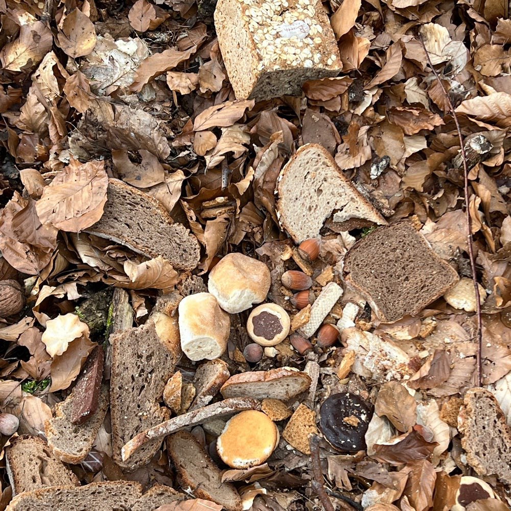 Giftköder-Schokolade und Brot im Wald verstreut-Profilbild