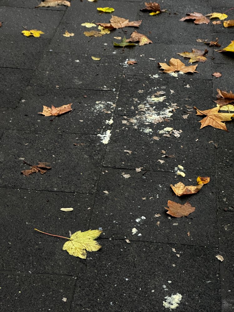 Giftköder-Komische Essensreste-Konsistenz-Profilbild