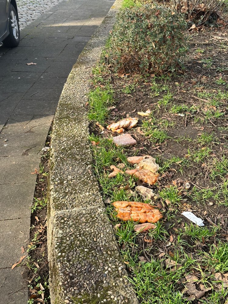 Giftköder-Rohes Fleisch-Profilbild