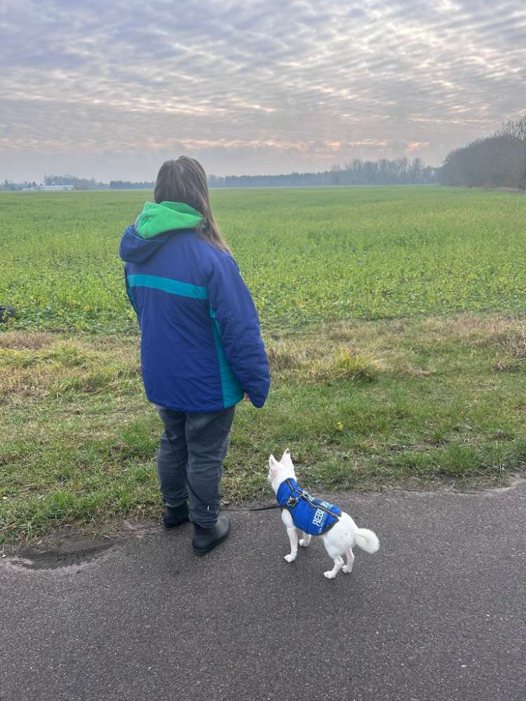 Hundetreffen-Spaziergang-Profilbild