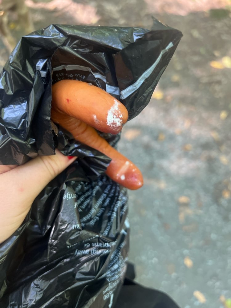 Giftköder-Giftköder (Würstchen mit Pulver)-Profilbild