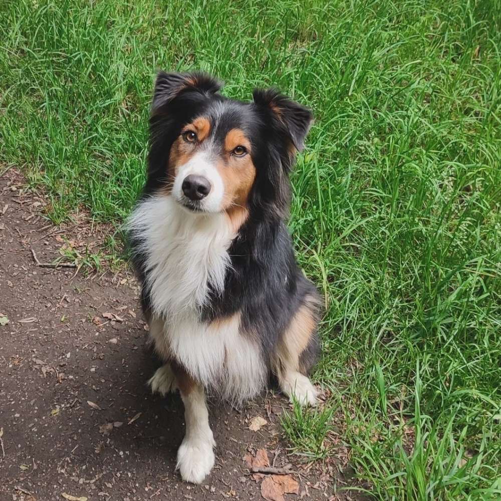 Ersteller:in Gemeinsamer Spaziergang Profilbild