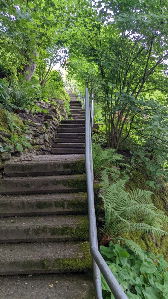 Hundetreffen-Waldshooting Degmarn-Profilbild