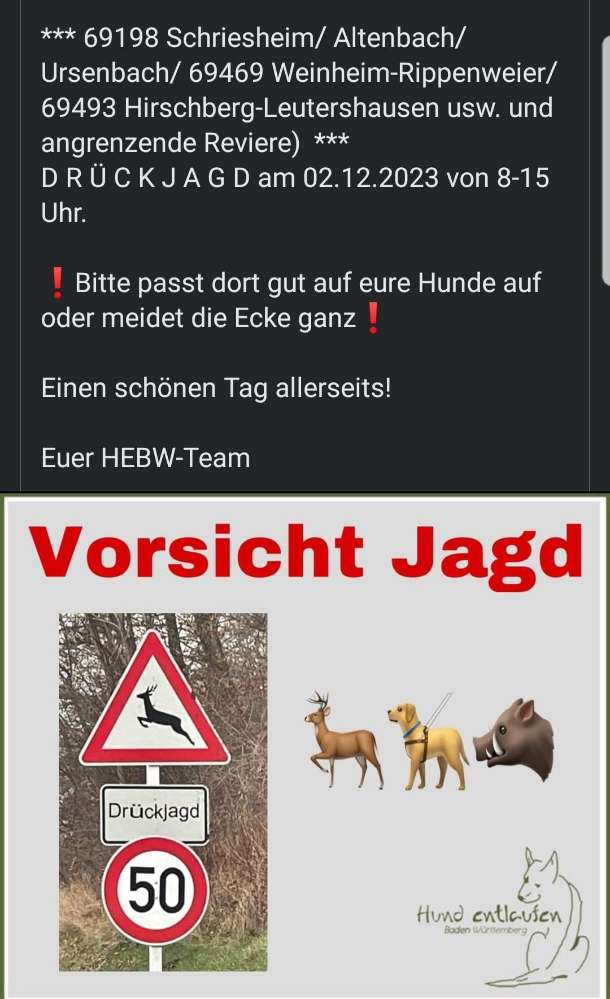 Giftköder-Drückjagd-Profilbild