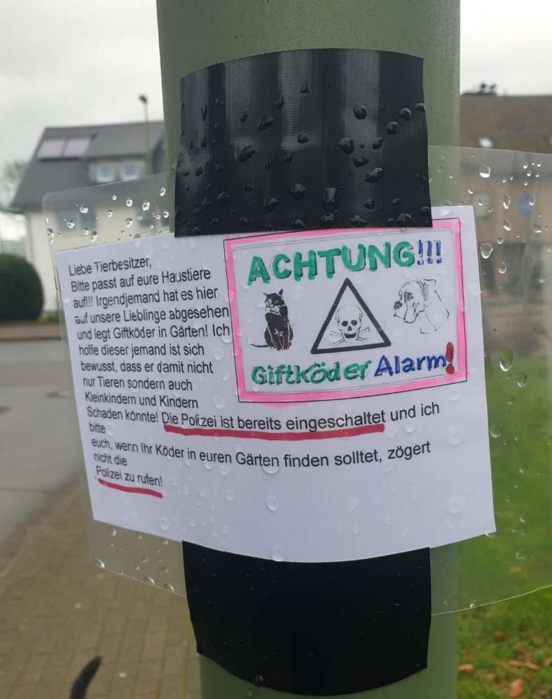 Giftköder-Giftköder-Profilbild