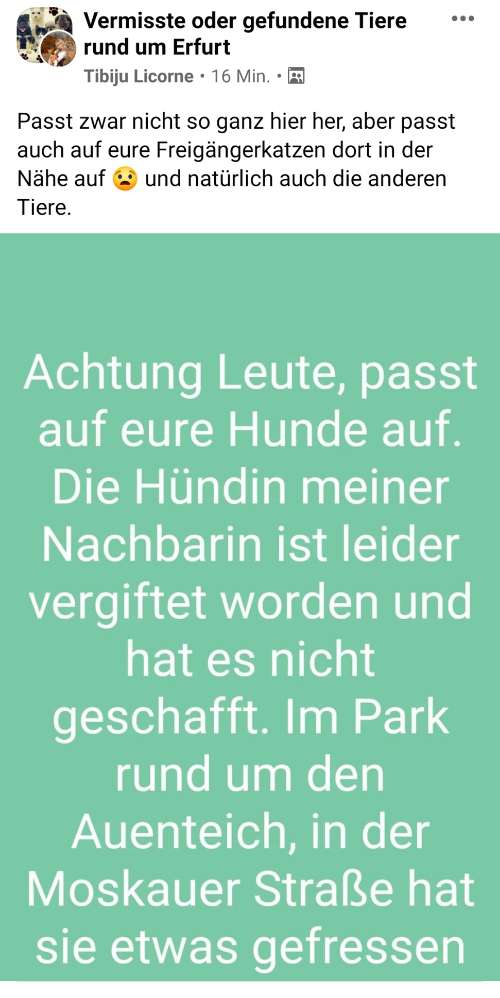Giftköder-Giftköder - vergifteter Hund-Profilbild