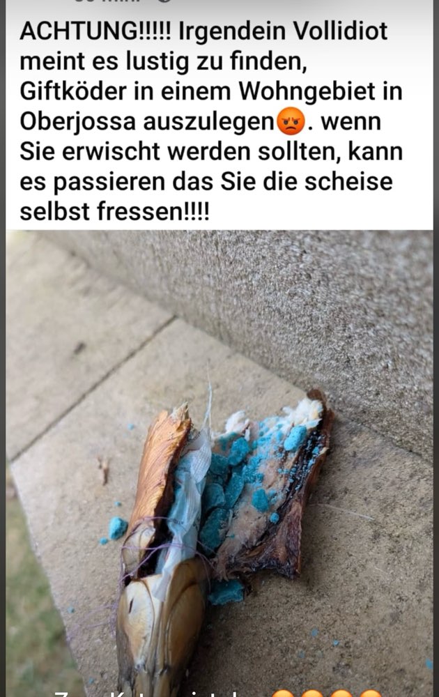 Giftköder-Giftköder-Profilbild