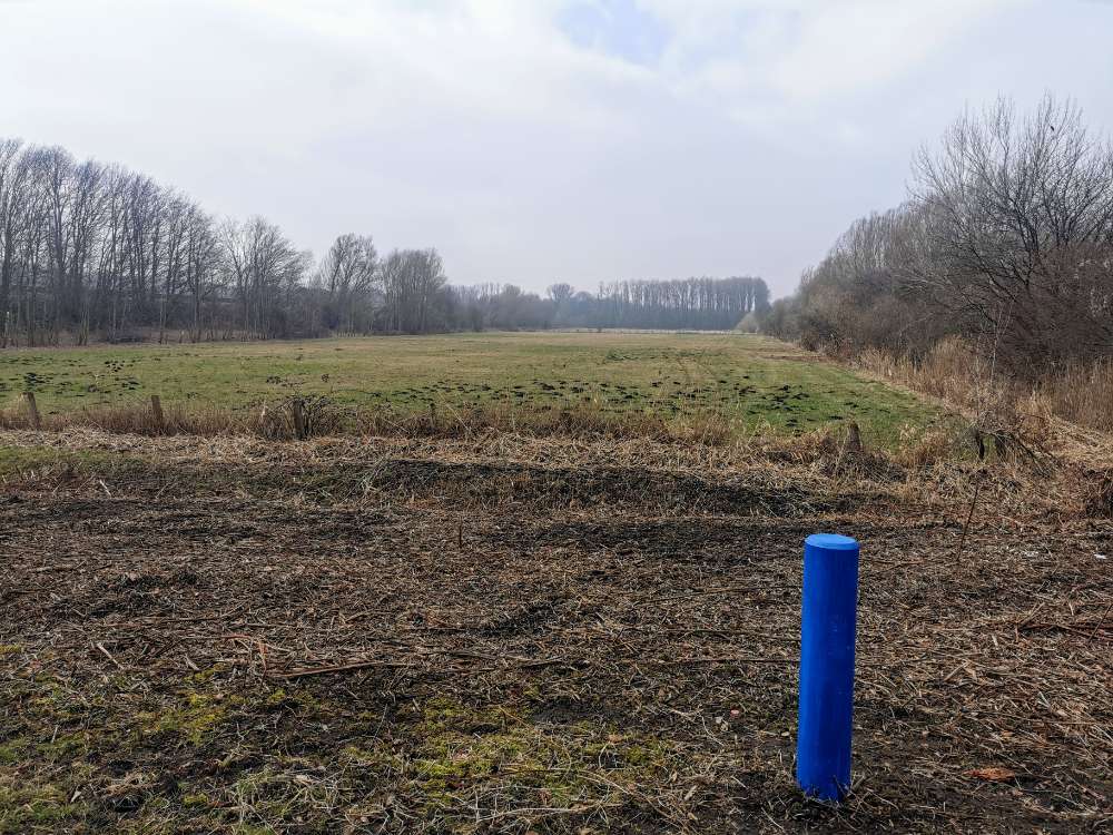 Hundetreffen-Treff kleiner Hunde bis ca. 10 Kilogramm-Profilbild