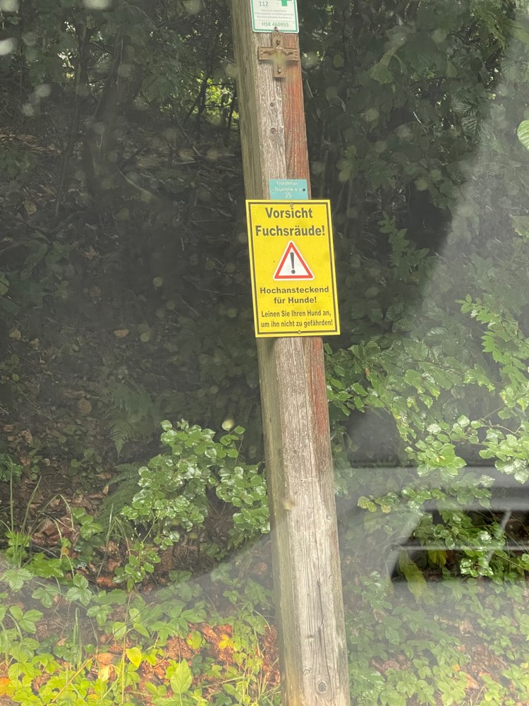 Giftköder-Fuchsräude-Profilbild