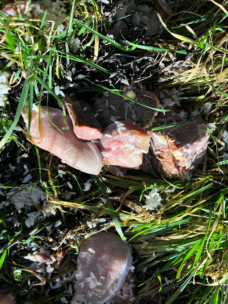 Giftköder-Fleisch verteilt auf Feldweg-Profilbild