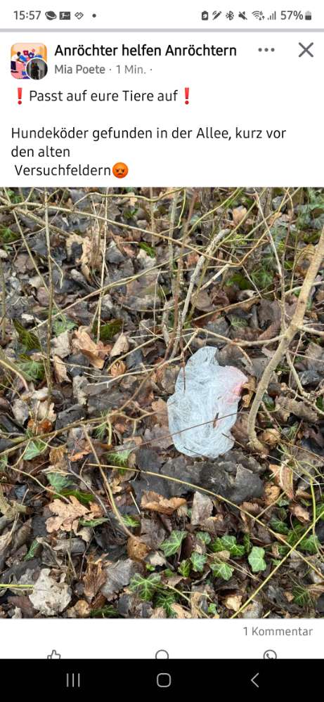 Giftköder-Gift-Profilbild