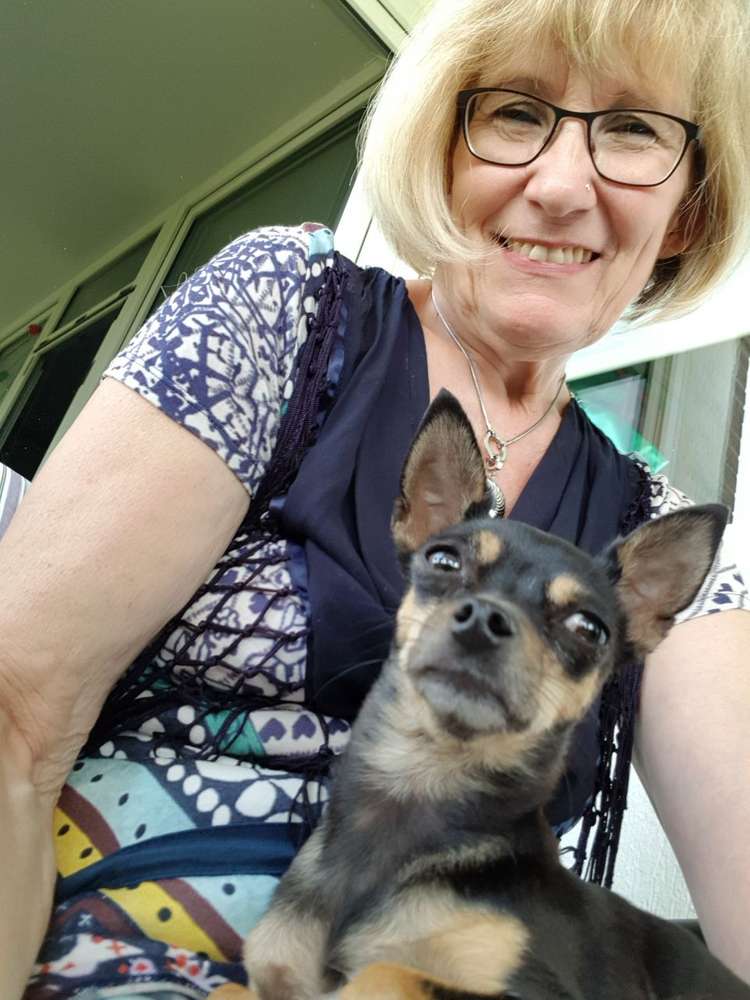 Hundetreffen-Spaziergang in Elmpt-Profilbild