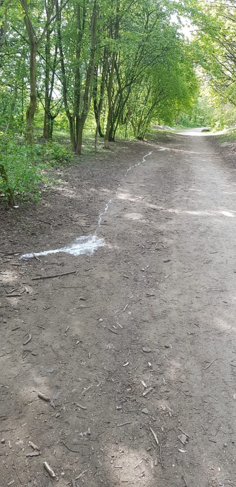 Giftköder-Weißes Pulver unbekannter Art-Profilbild