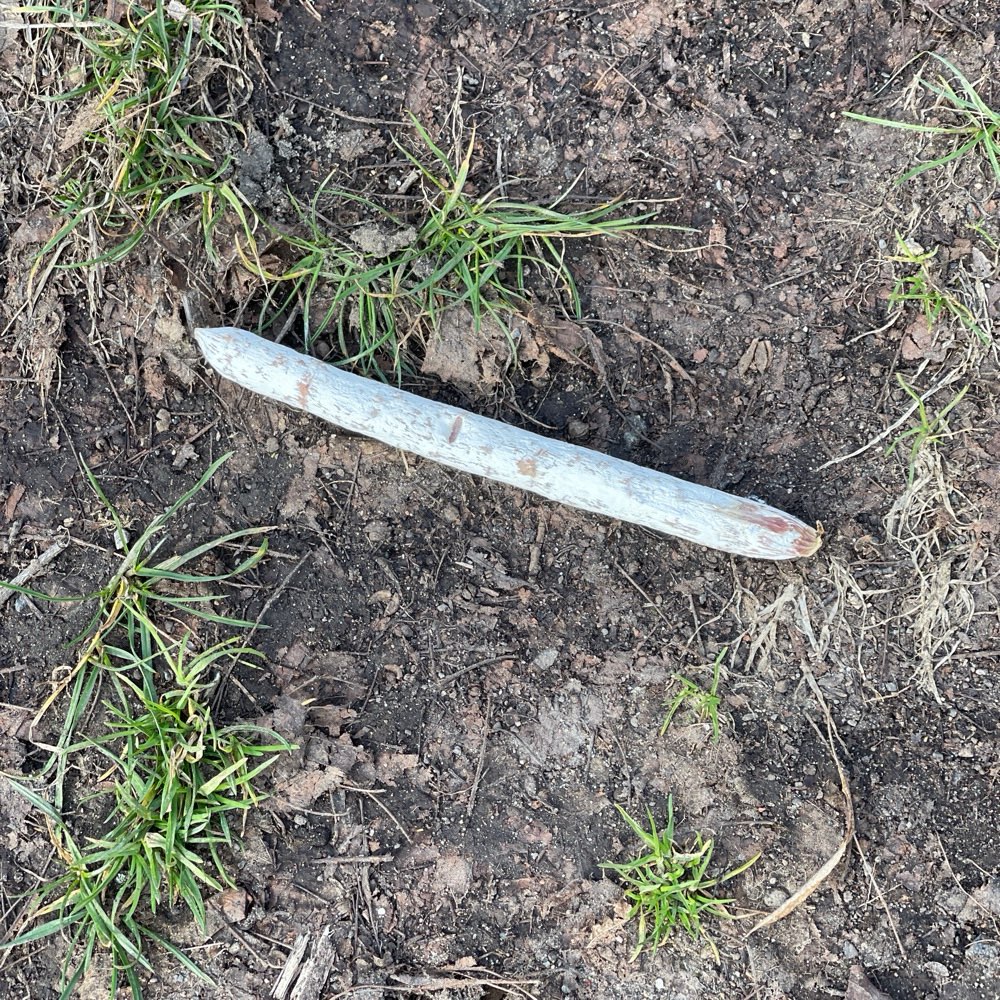 Giftköder-Verstreute Leckerlis-Profilbild