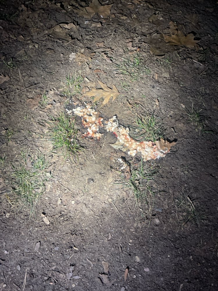 Giftköder-Übergebenes hinter Vape Mittel-Profilbild