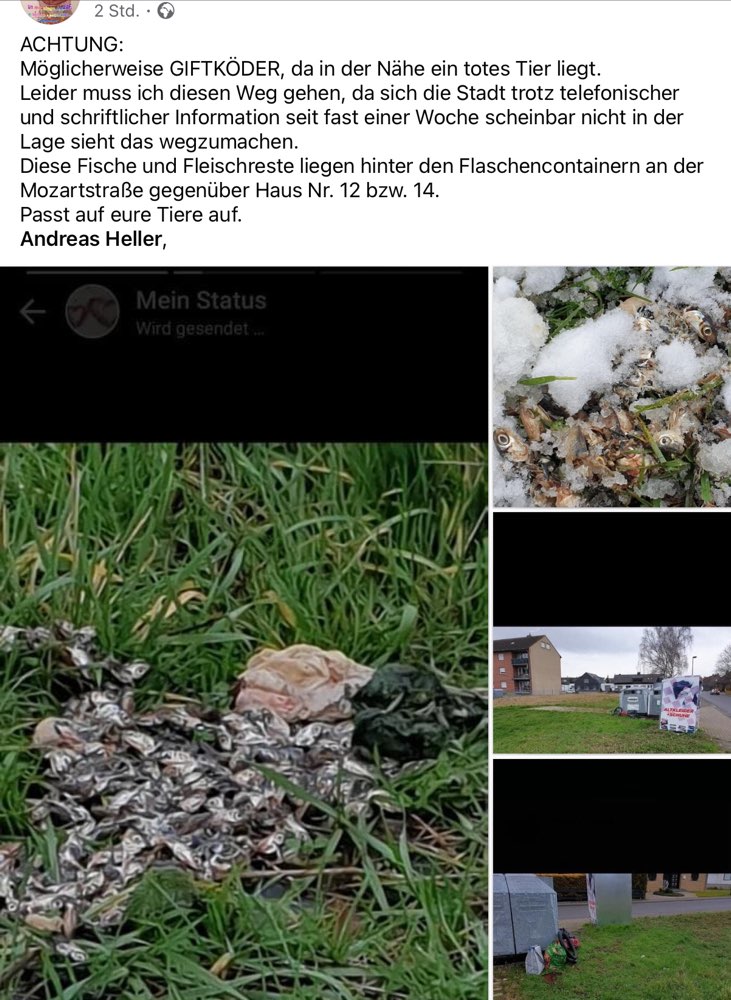 Giftköder-Möglicherweise Giftköder-Profilbild