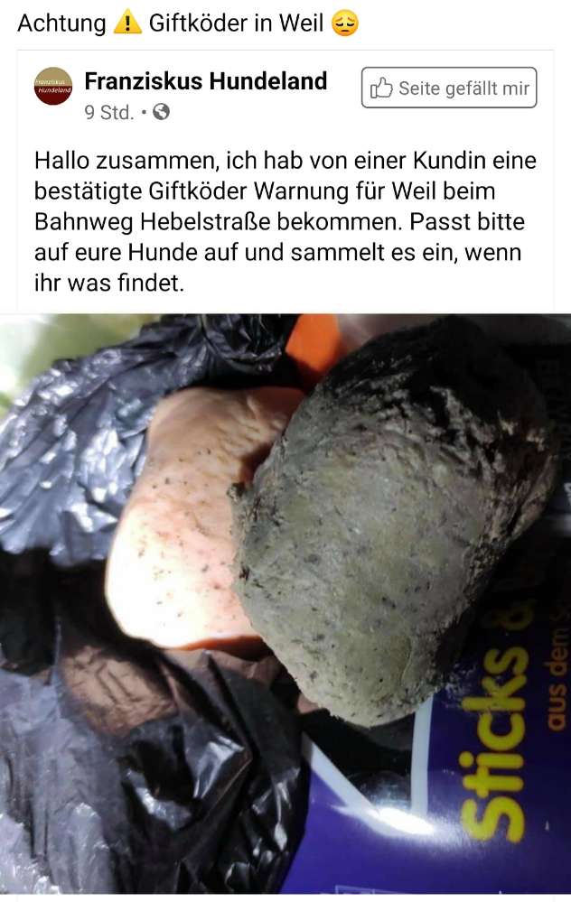 Giftköder-Giftköder-Profilbild
