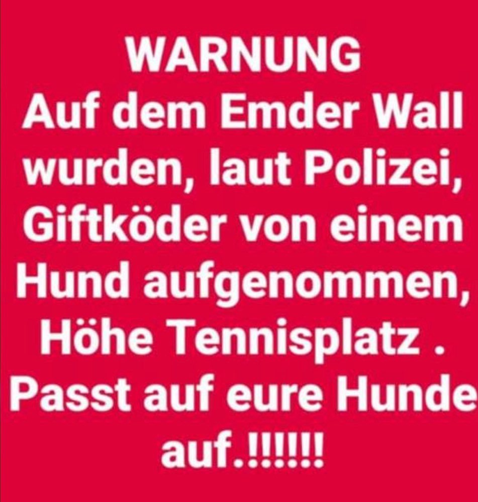 Giftköder-Giftköder-Profilbild