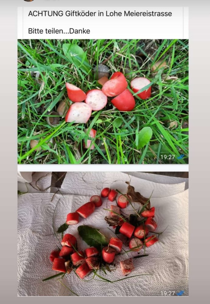 Giftköder-Giftköder-Profilbild