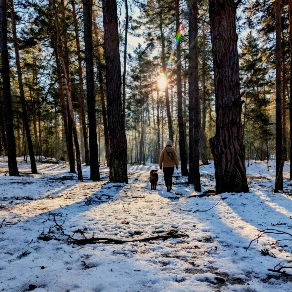 Hundetreffen-Gemeinsame Spaziergänge u.Trainingsrunden-Profilbild