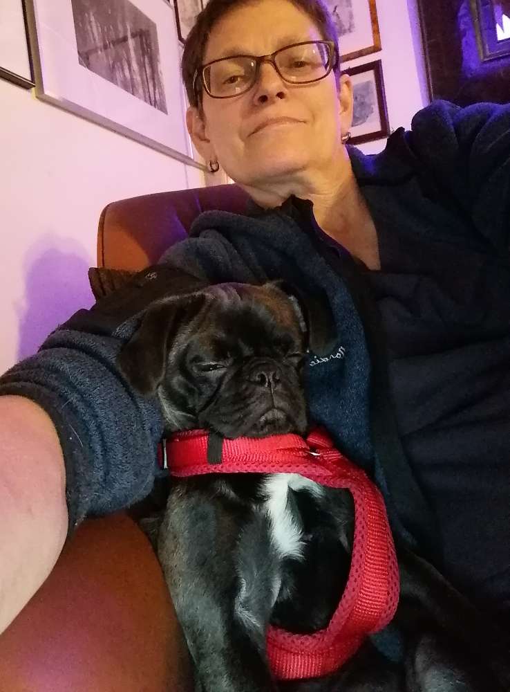 Hundetreffen-Raufen-Profilbild