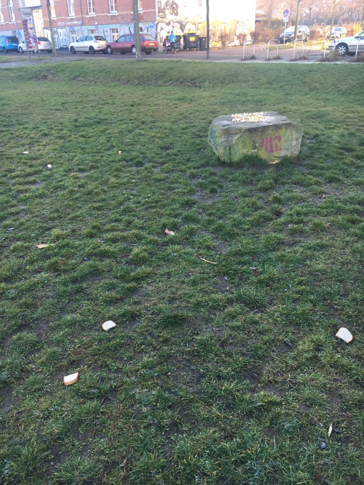 Giftköder-Weißbrot-Profilbild