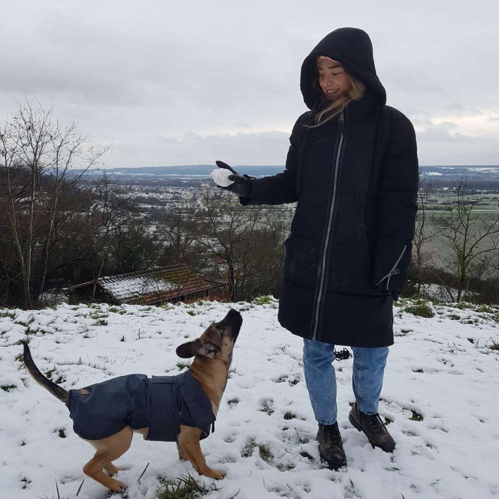 Hundetreffen-Playdate-Profilbild