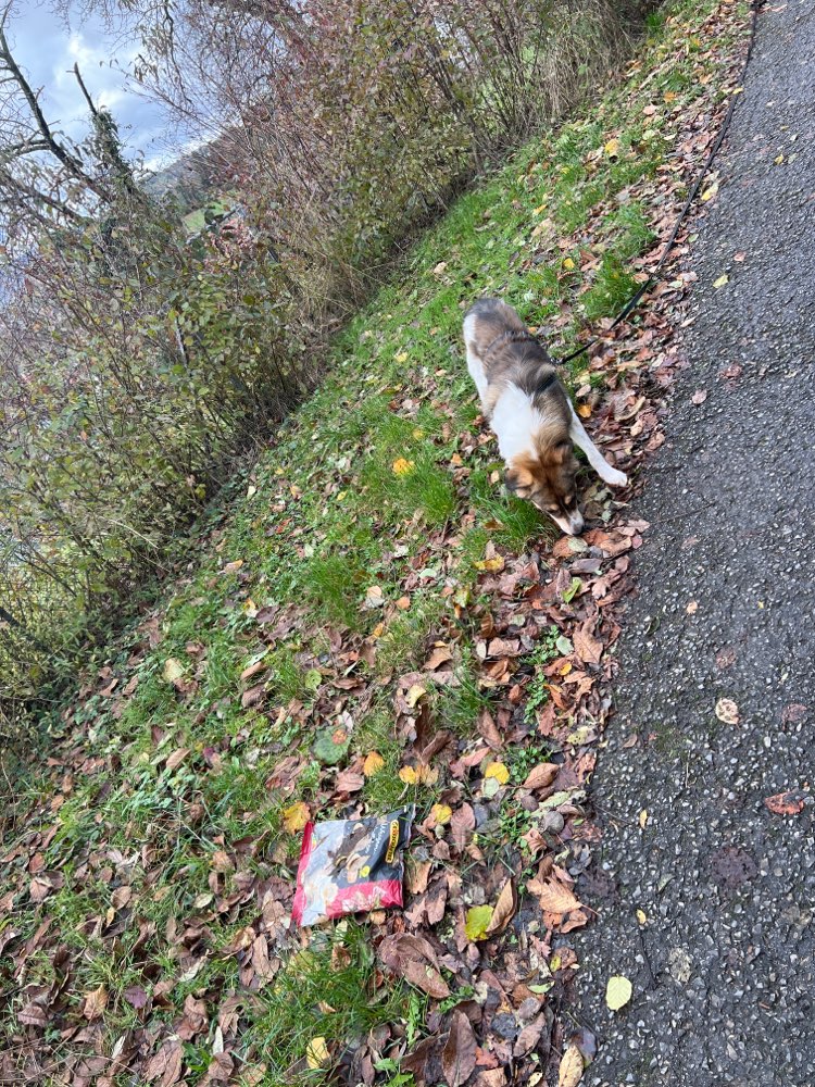 Giftköder-Offenes Päckchen Brötchen-Profilbild