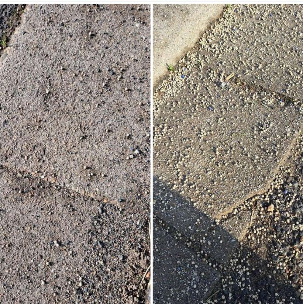 Giftköder-Düngemittel-Profilbild