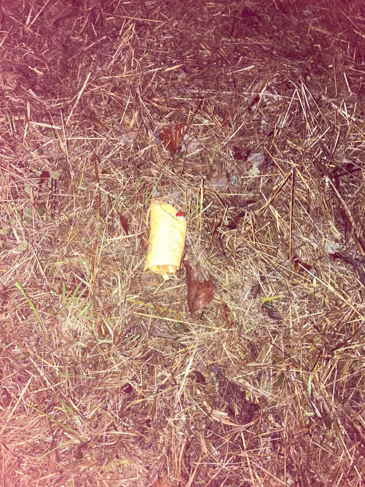 Giftköder-Giftköder als Burrito getarnt-Profilbild