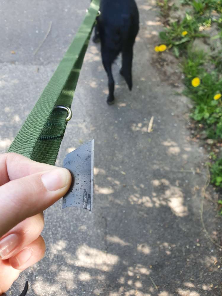 Giftköder-Klinge im Leckerlie-Profilbild