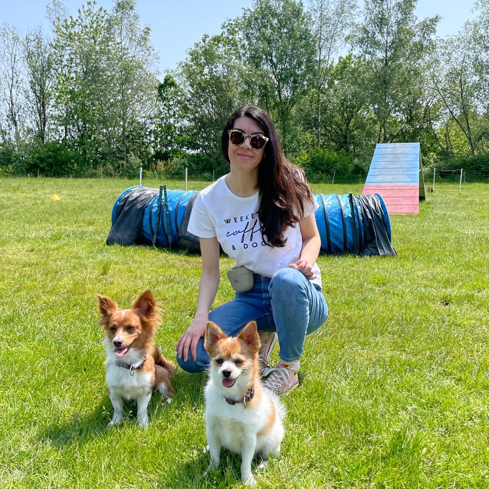 Hundetreffen-Gemeinsame Spiel und Gassirunde-Profilbild