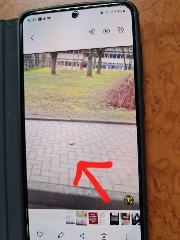 Giftköder-Giftköder - Frikadelle mit Glassplittern-Profilbild