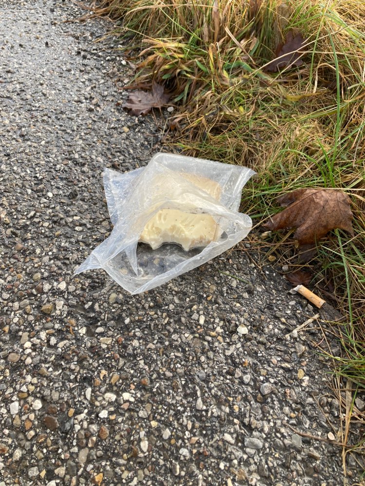 Giftköder-Möglicher Giftköder-Profilbild