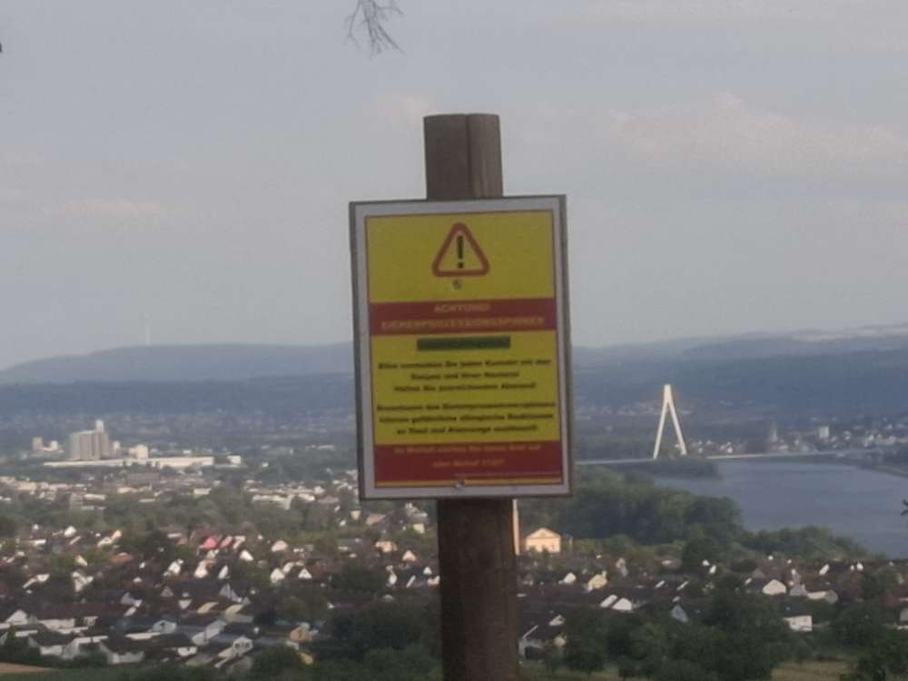 Giftköder-Eichen-Prozessionsspinner-Profilbild