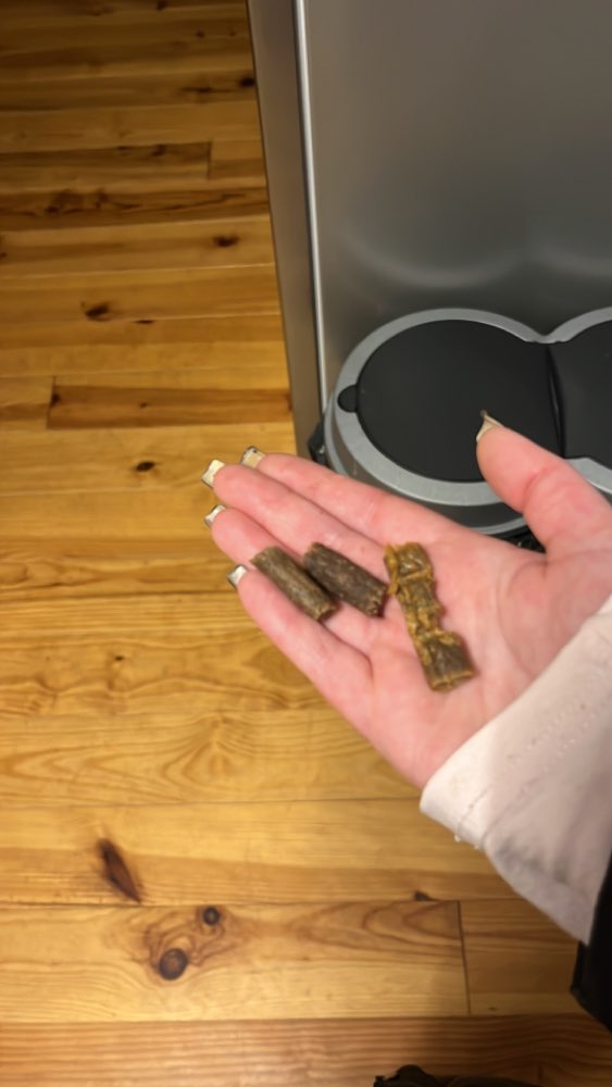 Giftköder-Eventuell Giftköder-Profilbild