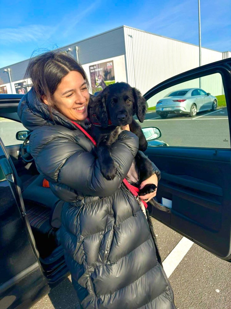 Hundetreffen-Welpentreffen in Solingen (Umgebung)-Profilbild