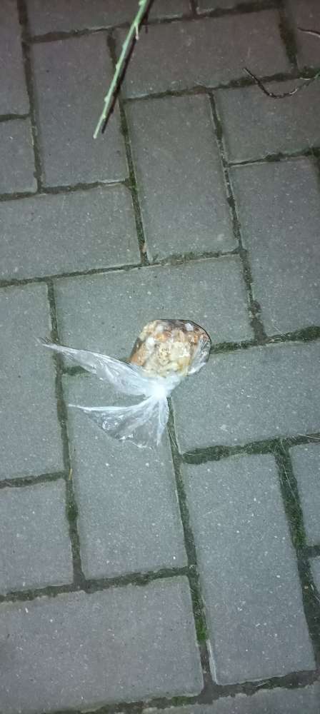 Giftköder-Mutmaßlicher Giftköder in der Sommerfeldsiedlung-Profilbild