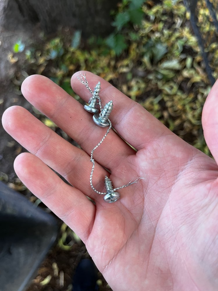 Giftköder-Hundeköder-Profilbild