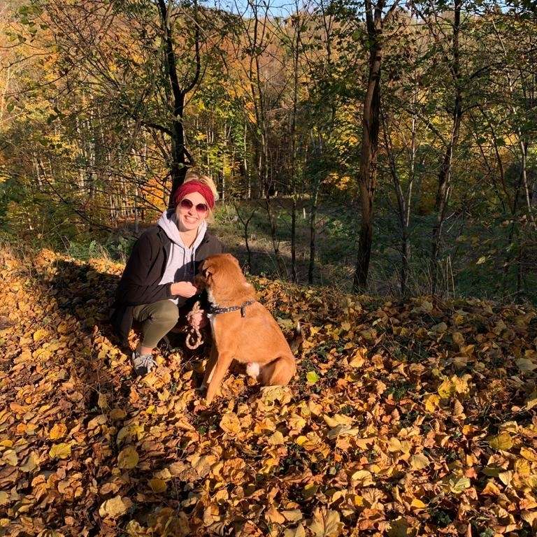 Hundetreffen-Spiel-und/oder Wanderrunde-Profilbild