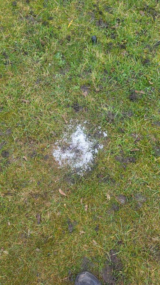 Giftköder-Weisser Haufen Rückhaltebecken Berne-Profilbild