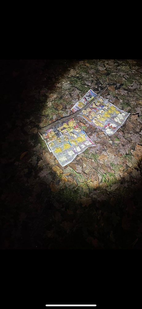 Giftköder-Vermutlich Giftköder .-Profilbild