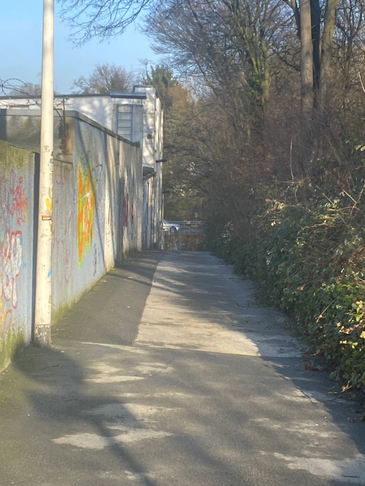 Giftköder-Mögliches Gift-Profilbild